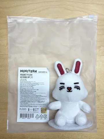 MINITEEN 에스크 승철 CHOITCHERRY 체리