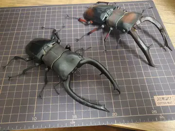 생물대도감 어드밴스 맨디브라리스 후타마타 사슴벌레 (적갈색, 블랙) 세트