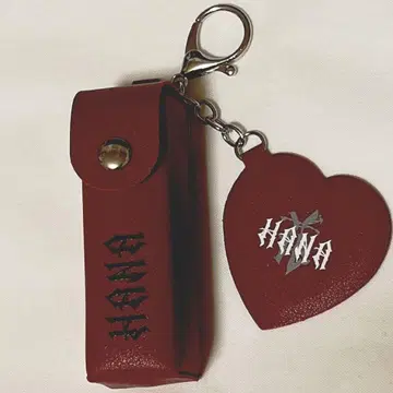 HANA 로고 립 케이스