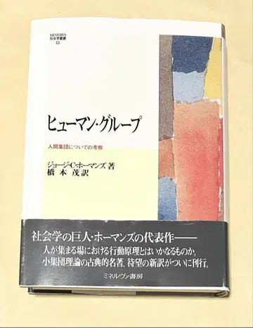 휴먼 그룹: 인간 집단에 대한 고찰 (MINERVA 사회학 총서)