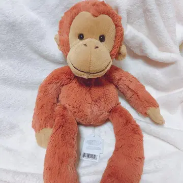 [ 오늘 발송 가능 ] JELLYCAT 오랑우탄 봉제 인형 단종품