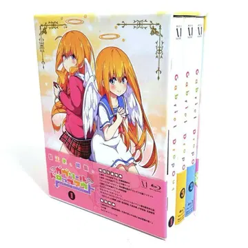 가브릴 드롭아웃 초회 생산 한정판 Blu-ray 전권 세트 BOX 포함