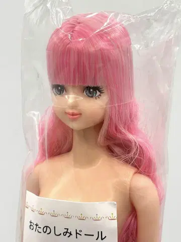 사야카 리카짱 캐슬 오타노시미 인형 핑크 계열 제니 프렌드