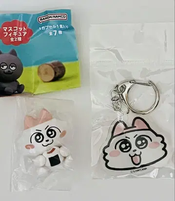 고양이 A상 아소토 콜렉션 피규어 아크릴 키링