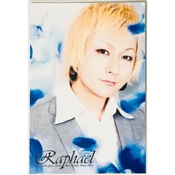 새상품 Raphael [ YUKI ] 천사의 편백나무 무대 엽서