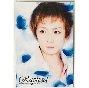 새상품 Raphael [ YUKITO ] 천사의 편백나무 무대 엽서