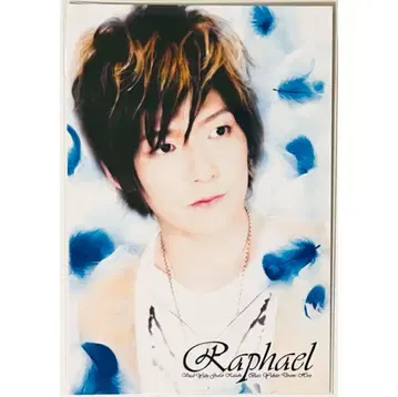 새상품 Raphael [ HIRO ] 천사의 편백나무 무대 엽서