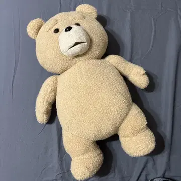 TED 테드 봉제 인형