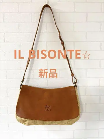 새상품 레어 IL BISONTE 일비종떼 숄더백 사선 가케
