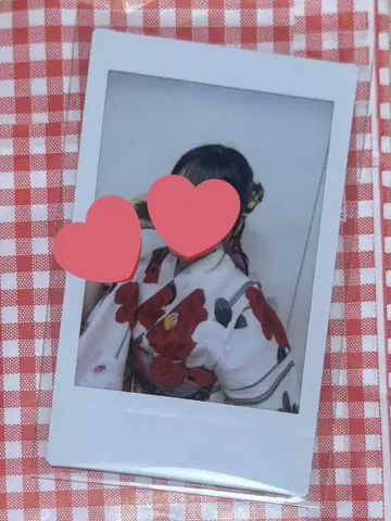 이기나리 도호쿠산 다테 카사이 폴라로이드