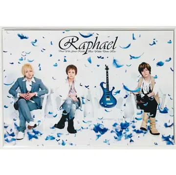 새상품 Raphael [집합] 천사의 편백나무 무대 엽서