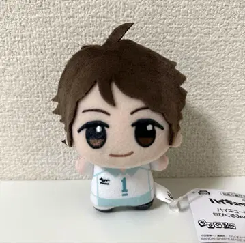 하이큐 SD 인형 봉제 인형 오이카와 토오루