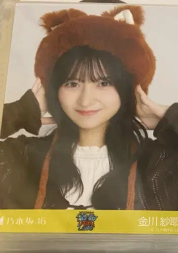 노기자카46 카나카와 사야 올 브라운 코디 요리 생사진
