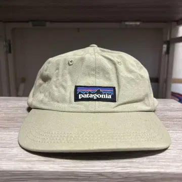 patagonia 베이지 캡