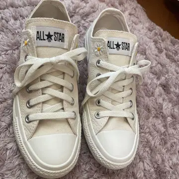 새상품급 컨버스 converse ALL STAR DAISIES 23.5