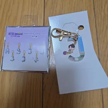 BTS Island: 인더섬 백참 컬렉션 JUNGKOOK