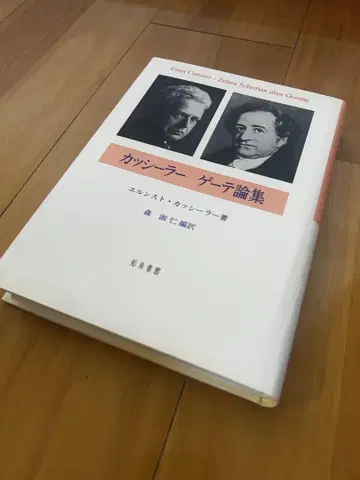카시러 괴테론집 엘른스트 카시러