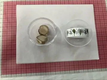 오사카 만박 UAE 파빌리온 대추야자 가챠