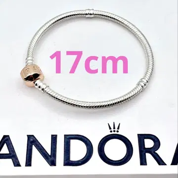 PANDORA 팔찌 31 Moments Snake Chain