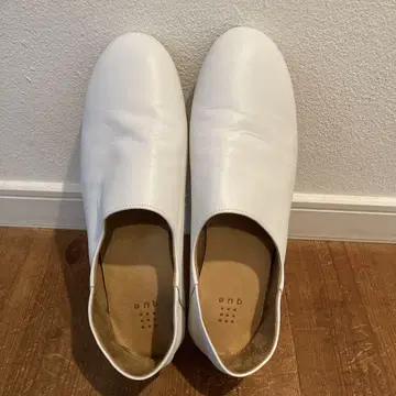 que LL 화이트