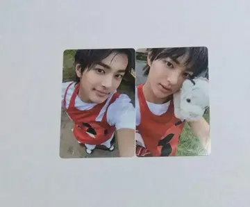 cortis 코르티스 곤호 트레이딩 카드 weverse album