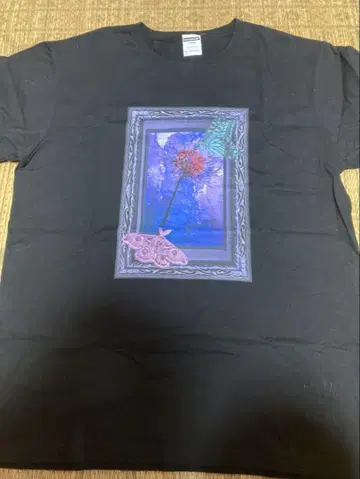 나방과 나비 아트 프린트 T셔츠 블랙