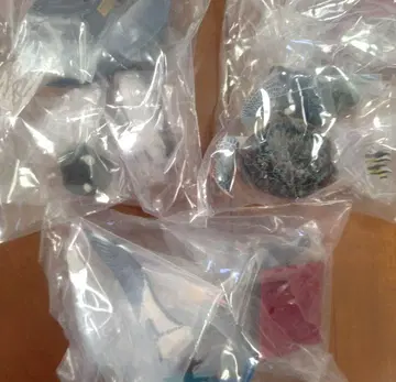오가사와라 특장판 가챠 푸른바다거북 남방돌고래 알바트로스