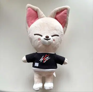 StrayKids 스키즈 SKZOO FoxINy 폭시니 아이엔