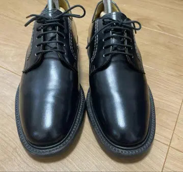 REGAL 2504 플레인토우 24EE