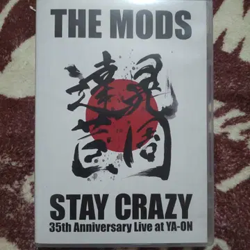 STAY CRAZY / THE MODS