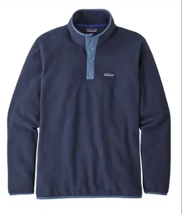 Patagonia 마이크로D 스냅T