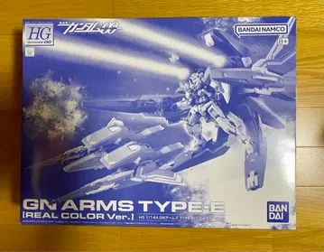 HG GN ARMS TYPE-E REAL COLOR Ver.