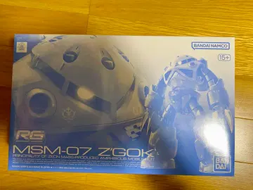 RG MSM-07 Z GOK 건담 프라모델