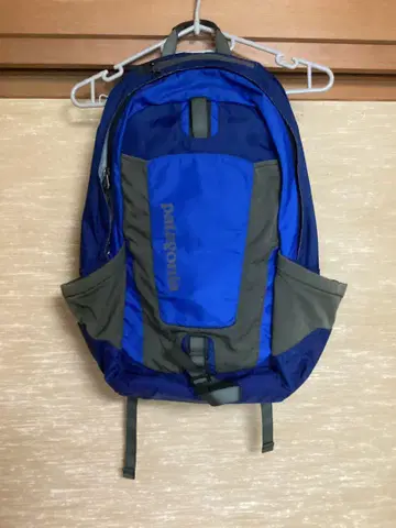 PATAGONIA 예르바 22L 백팩