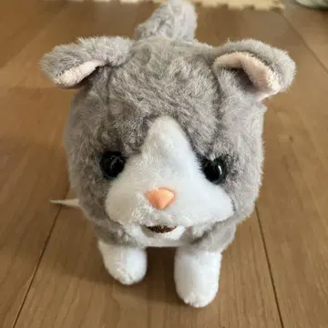 고양이 봉제 인형 그레이와 화이트