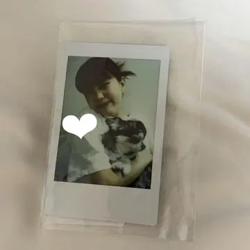 아이나 지 엔드 폴라로이드
