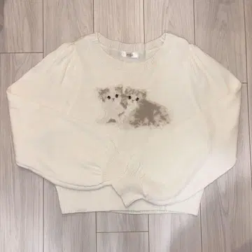 에블린 냥짱 니트 화이트