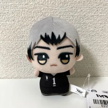 하이큐 SD 인형 봉제 인형 키타 신스케