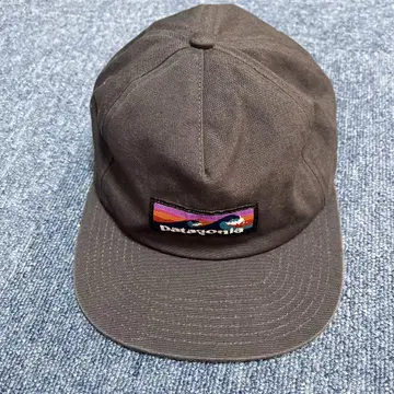Patagonia 캡