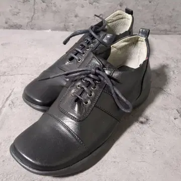 [ GINZA Kanematsu ] 3002 ( 22.5 ) 스니커즈