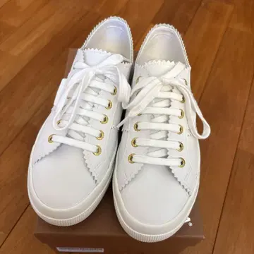 PELLICO x Superga 화이트 스니커즈