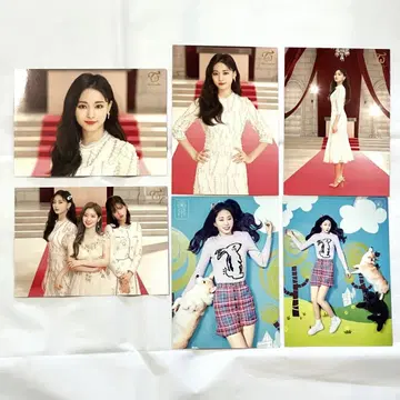 TWICE 랜덤 포토카드 #Dreamday 쯔위