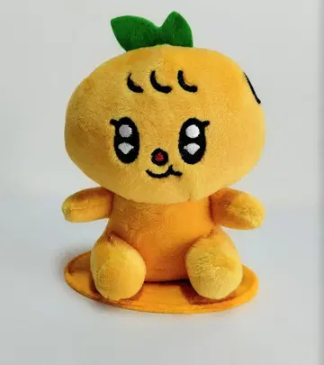 MINITEEN 승관 마그넷 키링