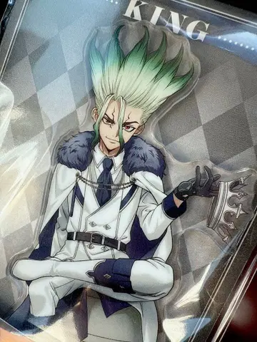 [ 즉시 구매 OK ] 패밀리마트 Dr.STONE 이시가미 센쿠 센쿠