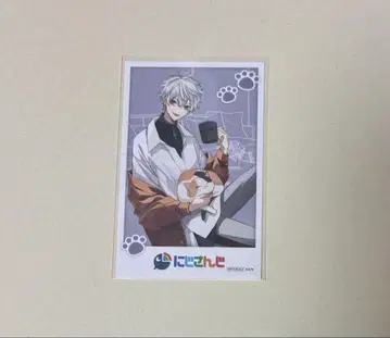 니지산지 쿠츠하 마네키네코 특전