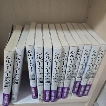 실버 버치 영혼의 가르침 전 12권 세트