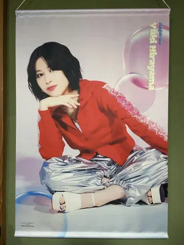 히라야마 유키 B2 태피스트리 안쥬르므
