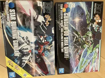 미조립 HG 건담 더블오 아쿠아 시 퀀터 스타 버닝 건담