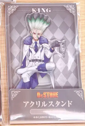 Dr.STONE 훼미리마트 센쿠 아크릴 스탠드