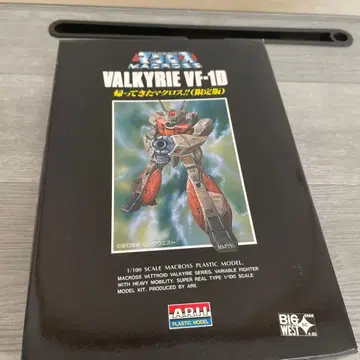 마크로스 발키리 VF-1D 1/100 프라모델